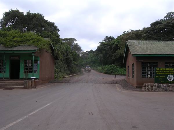 Ngorongoro