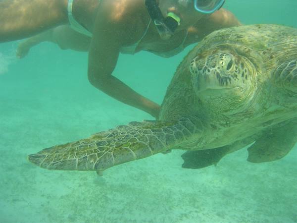 Derawan