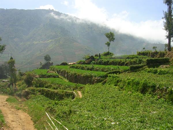 Dieng Plateau