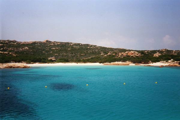 Maddalena Archipelago-pink beach