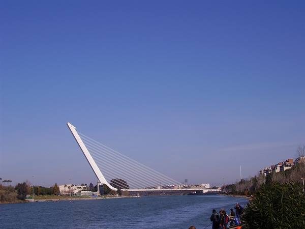 Calatrava bridge