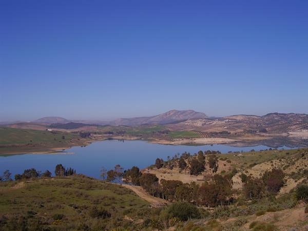 Andalusian landscape