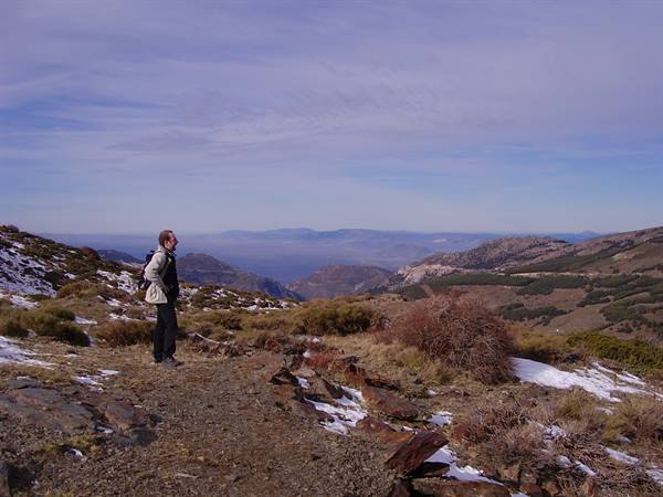 sierra nevada