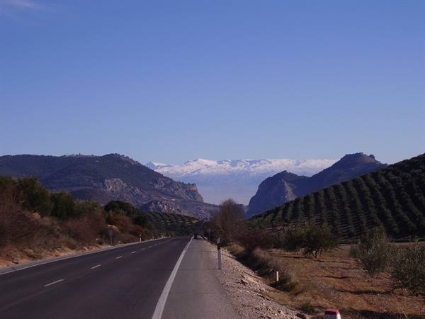 sierra nevada