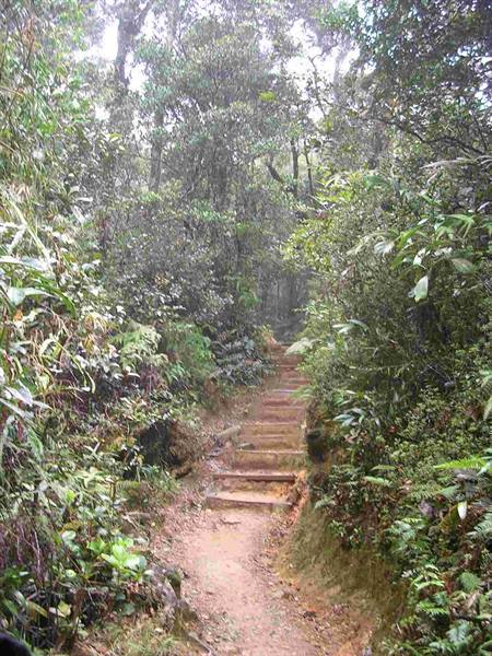 The start of the climb