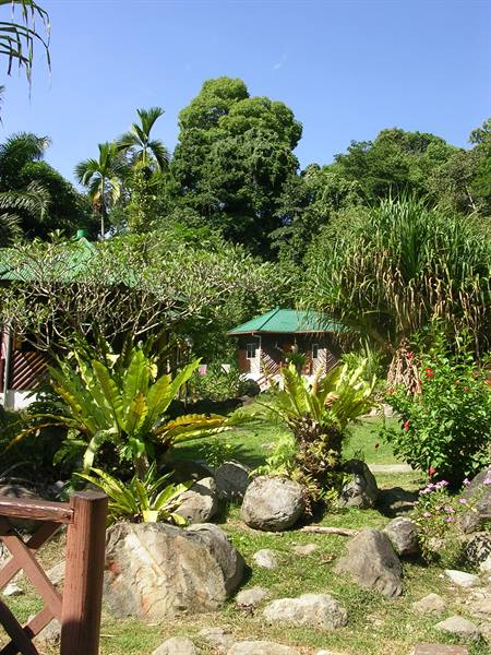 Poring Hot Springs