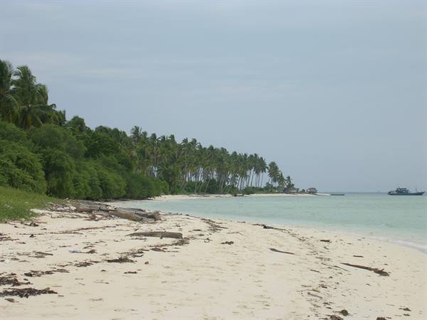 Pale sandy beach with seaweed, palm trees and a boat on turquoise sea