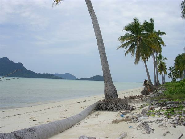 Leaning palm tree on white sand beach, green islands over calm sea