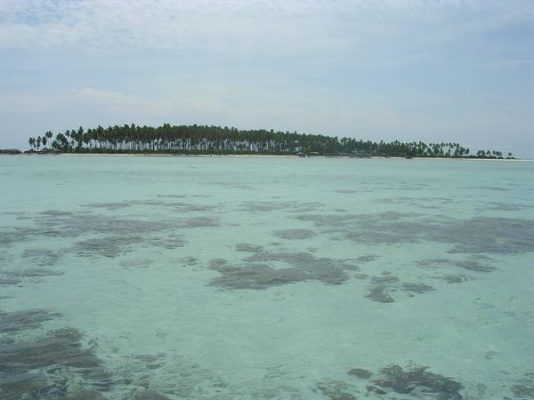 Palm-covered islet behind shallow turquoise water with coral patches