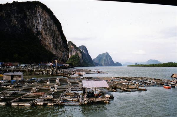 Koh Phangan