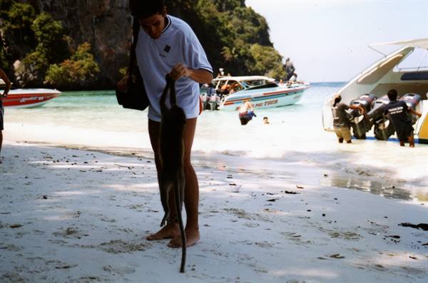 Maya Bay
