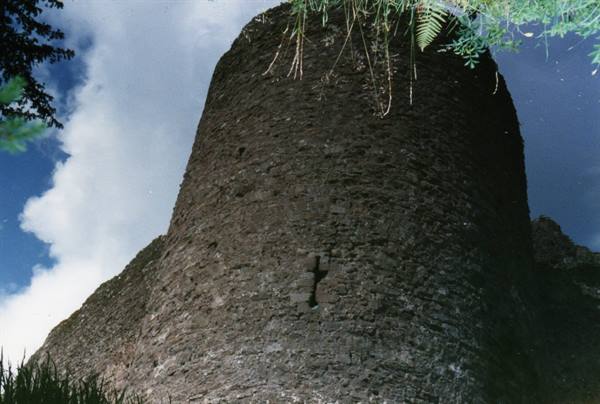 Ancient stone tower seen from above, framed by branches and green leaves