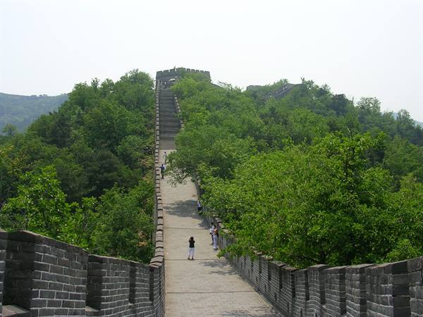 Tourists climb the stone staircase of the Great Wall among green trees