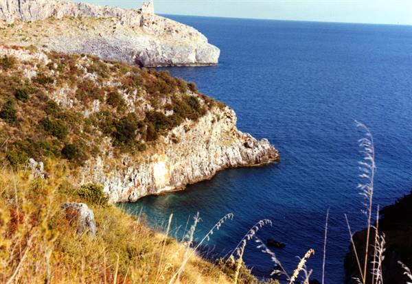Limestone cliffs over blue water, shrubs and dry grasses in foreground