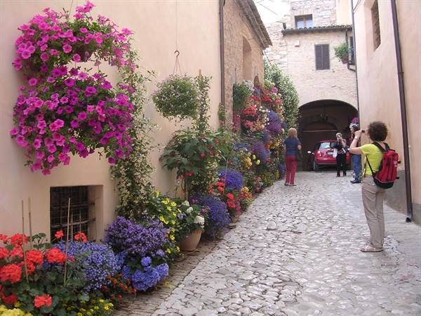 Assisi