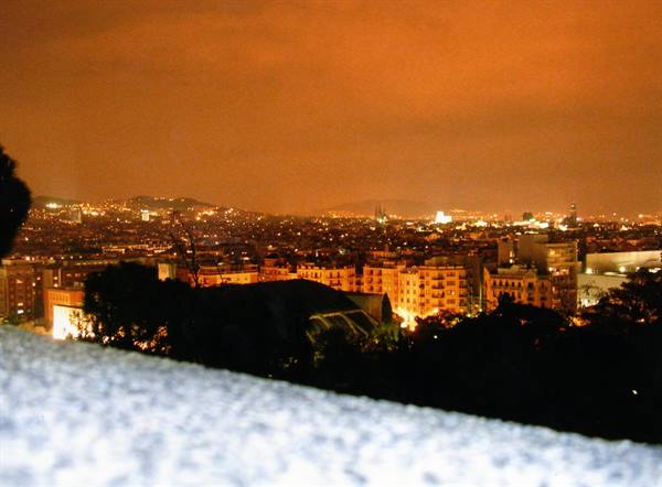 City lights glowing at night under orange sky, lit buildings among dark trees