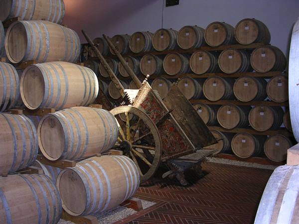 Wine cellar with stacked wooden barrels and an old cart