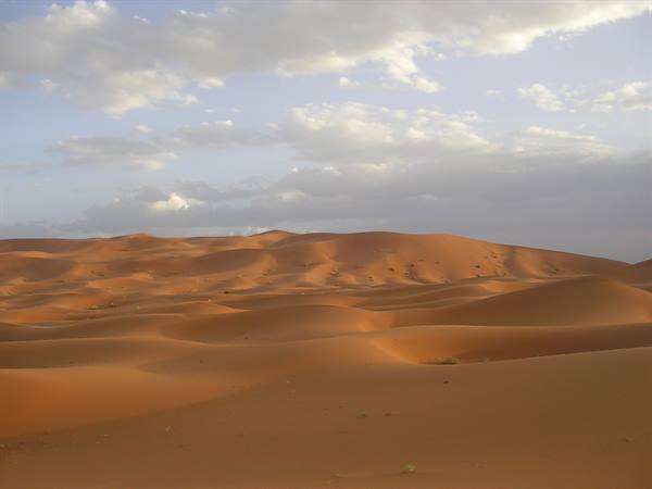 Desert at Merzouga
