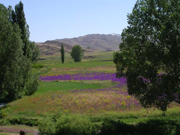Middle Atlas