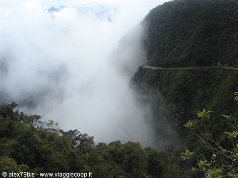 Dirt road in the mist among the green cloud forest of the Yungas