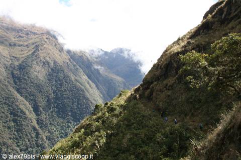 Andes