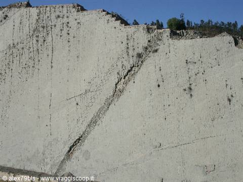 dinosaur footprints