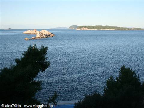 Rocks above the blue sea, green islands on the horizon, pines in the foreground