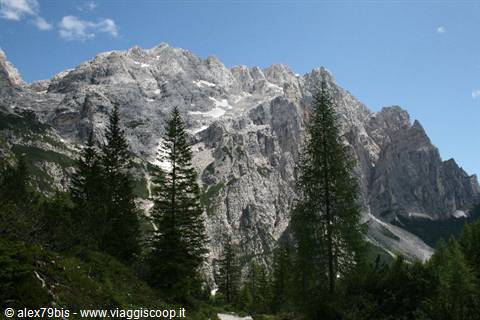 Limestone rock walls above a conifer forest, alpine valley
