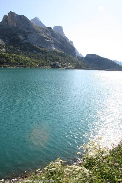 Turquoise waters of Fedaia lake beneath dolomite peaks, white wildflowers in foreground