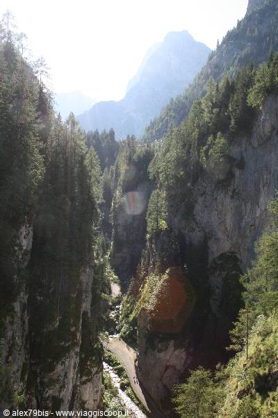 Rocky gorge with stream and road, conifer forests on steep walls