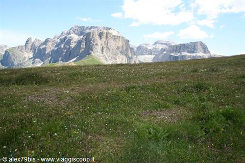 Flowering meadow beneath the rocky walls of the Sella Group, Dolomites