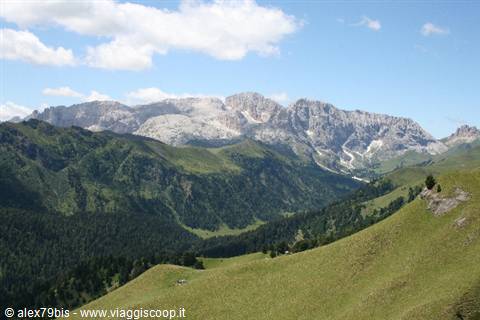 Rocky Dolomite peaks above green meadows and forests, Passo Falzarego
