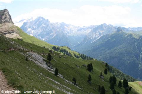 Green meadows with scattered firs and snowy Dolomite peaks, Dolomites