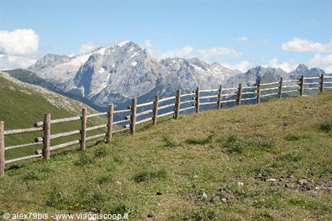 wooden fence along an alpine meadow with snowy Dolomite peaks