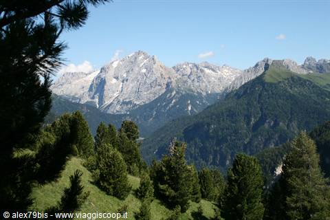 Rocky Dolomite peaks above green fir forests, pine branches in the foreground