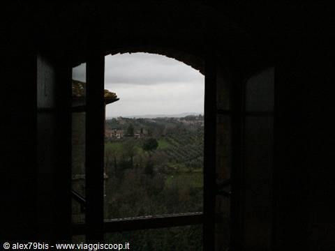 Tuscan countryside with olive groves seen through a dark arched window