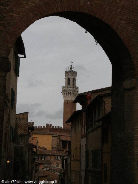 Siena's Torre del Mangia framed by a brick arch