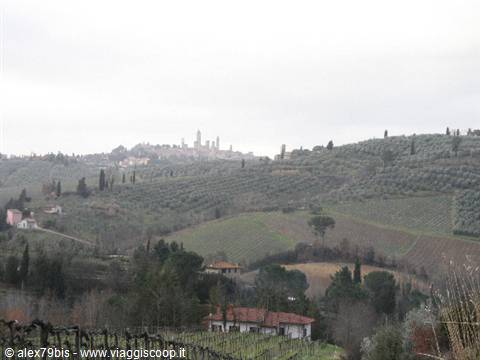 San Gimignano's towers rise through the haze above Tuscan vineyards and olive groves