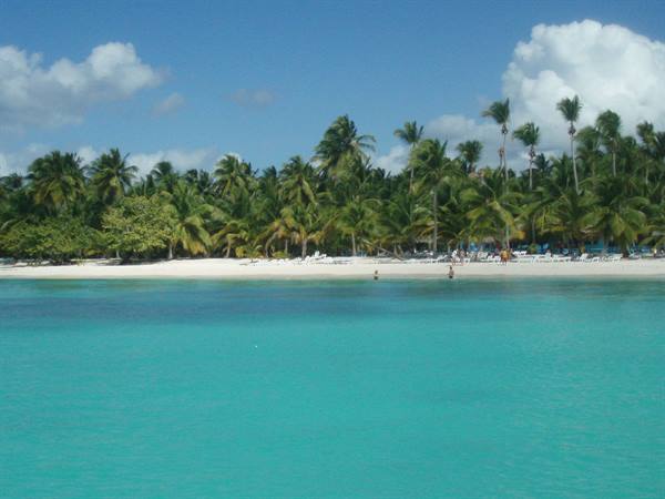 White sand beach with palm trees and umbrellas, turquoise water, swimmers