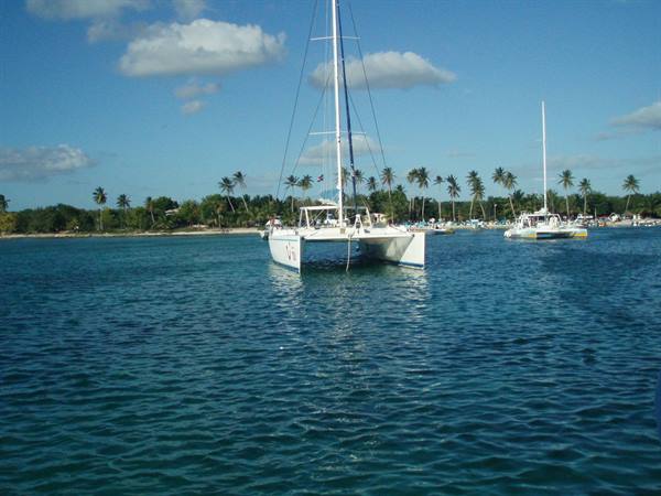 White catamaran anchored in turquoise water in front of palm-lined beach