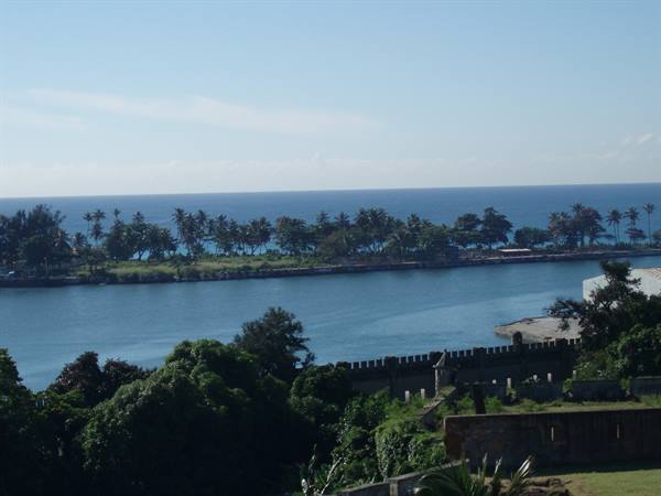 River and palms by the ocean, stone walls in the foreground
