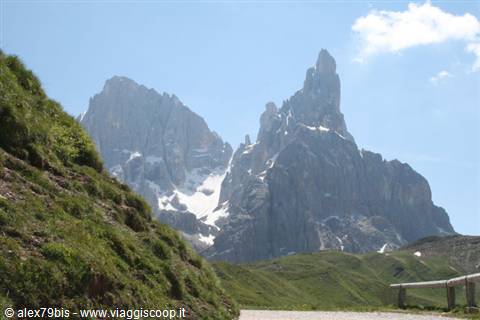 Cimon della Pala at Passo Rolle, snowy rocky peaks above green meadows