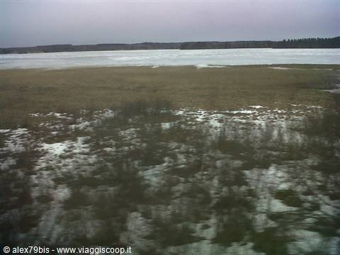 Marsh with melting snow before a frozen lake and forests under gray sky