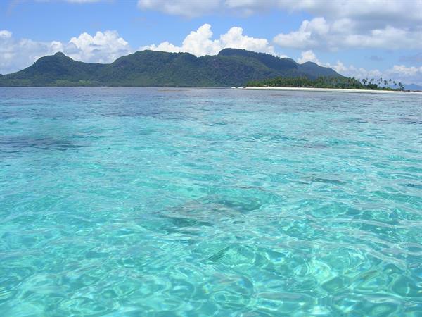 Clear turquoise water in front of green island with white beach and palms