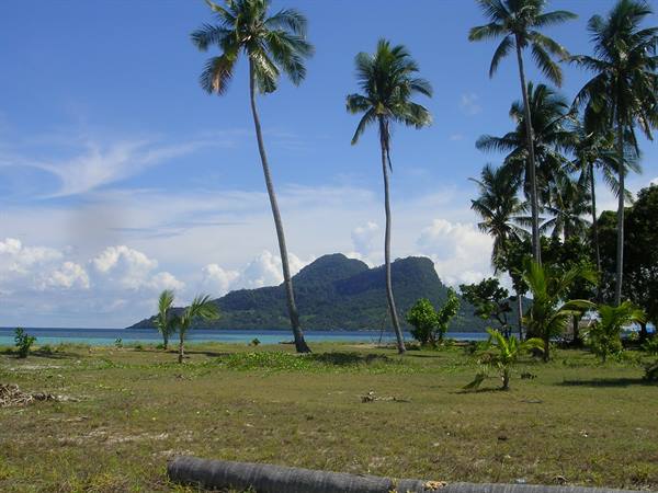 Palm trees on green shore, forested island across turquoise sea, blue sky