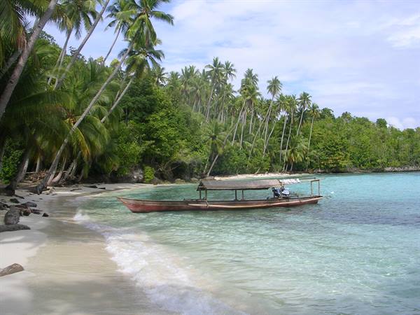 Wooden boat with canopy anchored near white sand beach among palms