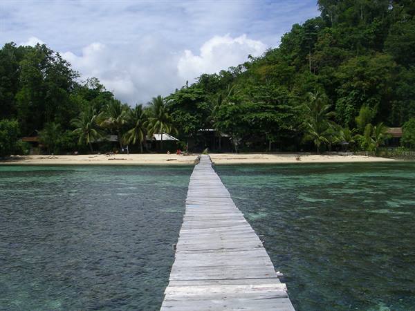 Wooden jetty over turquoise water toward beach with palms and bungalows