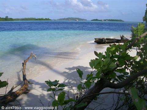 White sand beach with fallen logs, turquoise lagoon and islands on the horizon