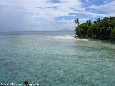 Clear turquoise water in front of sandy beach with palms and trees