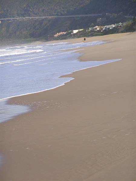The beach of Wilderness